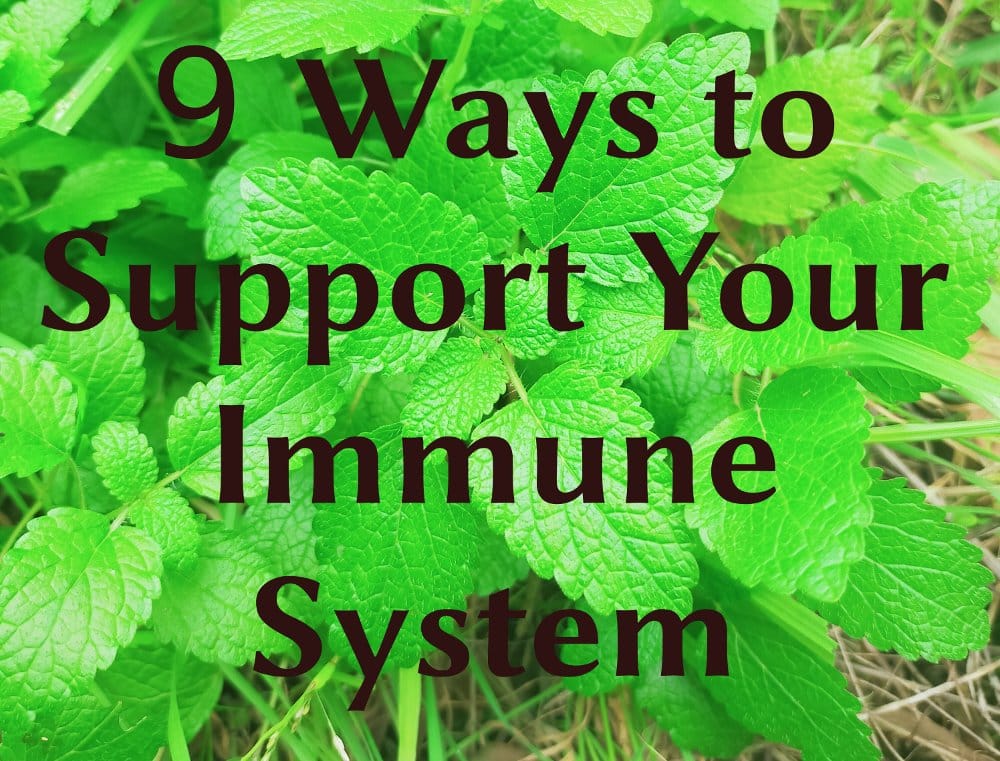 9-ways-to-support-immune-system